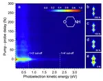 New publication in Nature Communcations