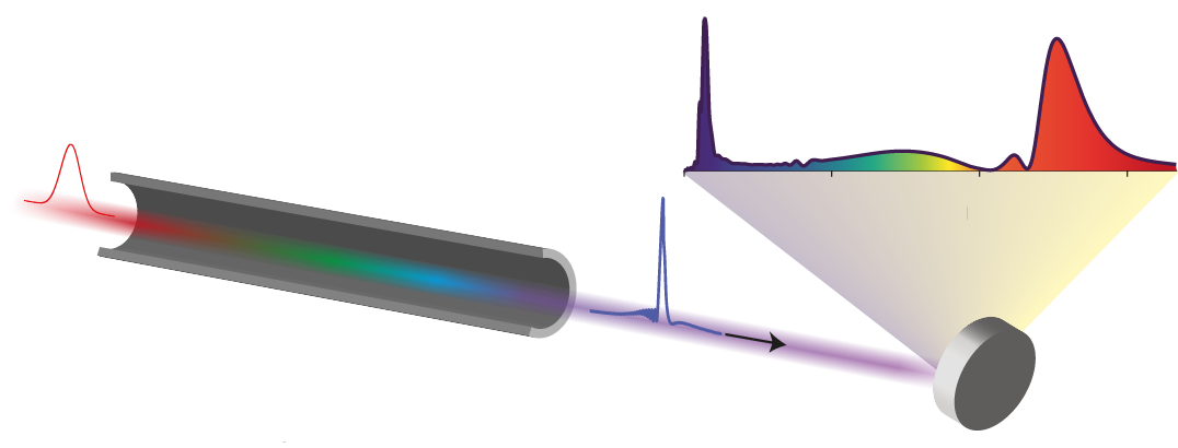 HISOL & XSOL: High-energy soliton dynamics in hollow